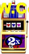 Daily Bonuses 85bet