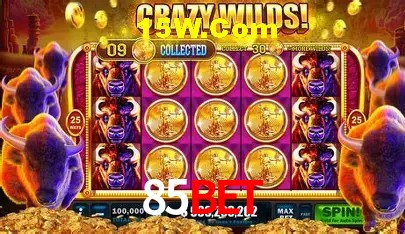 85bet Curitiba - Live Betting